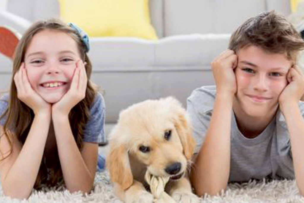 Πώς να αντιμετωπίσω την κακοσμία από το χαλί;